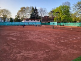 kalasztenisz 2024